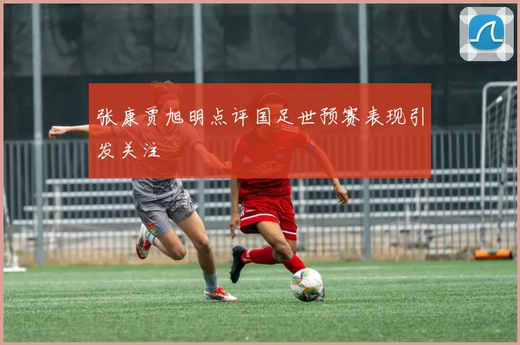 张康贾旭明点评国足世预赛表现引发关注