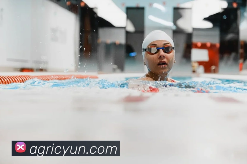 世界杯开户平台发展历程