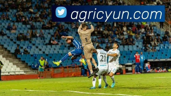 体育赛事直播